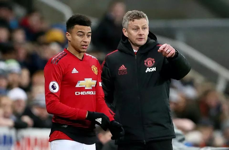 体育中越来 体育中越来