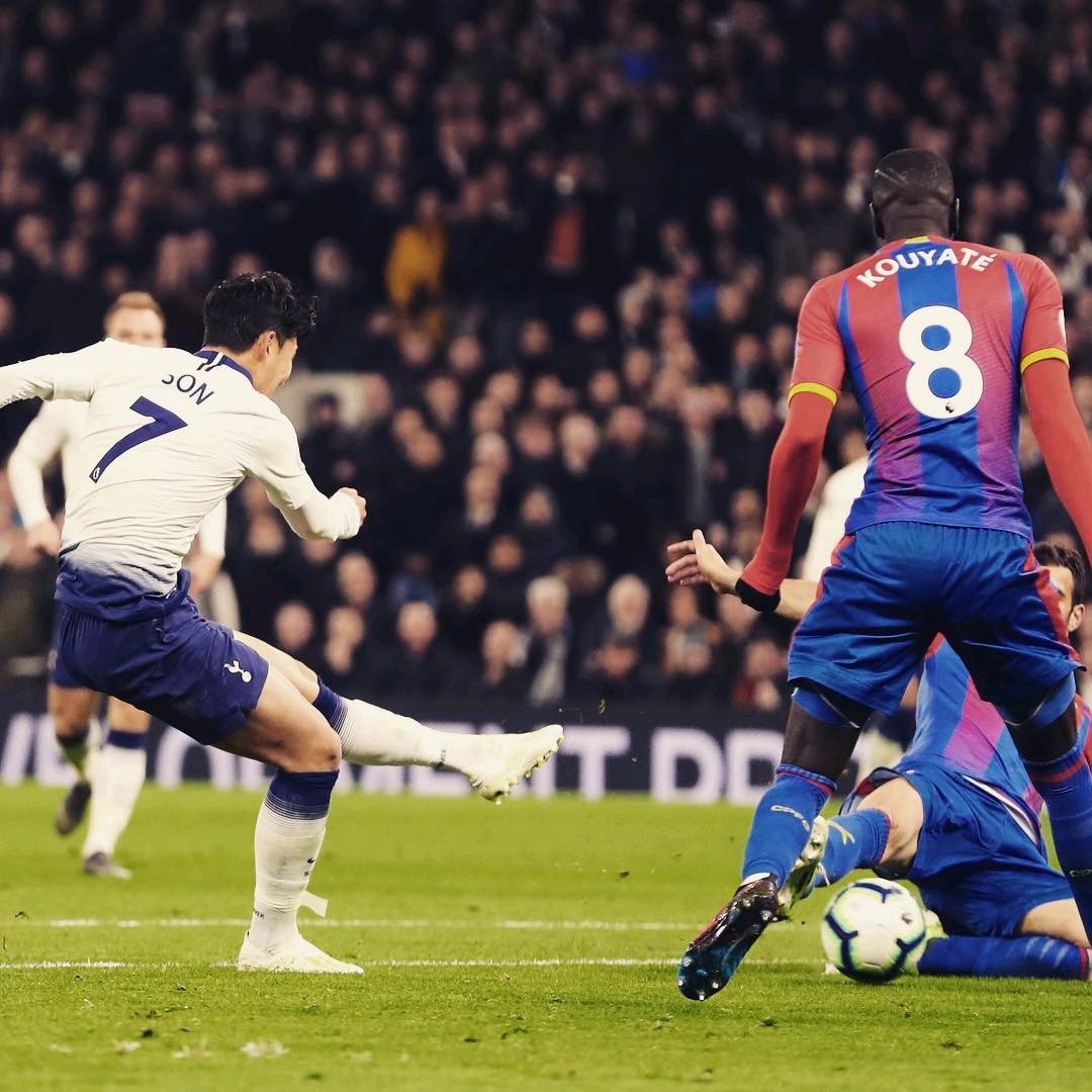 声誉和成绩 声誉和成绩